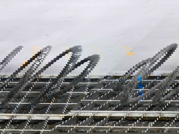 Arc Nissan Juke [Fabr 2010-2014] Hatchback OEM 1.5 DCI K9K-410 1.5 DCI K9K-410 80KW / 109CP