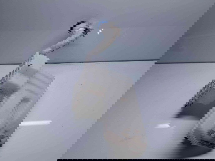  Vas lichid parbriz Seat Leon (5F1) [Fabr 2012-2018] 5Q0955448