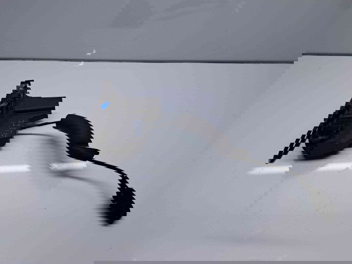 Broasca usa dreapta fata Renault Megane 3 [Fabr 2008-2015] Facelift 805020002R