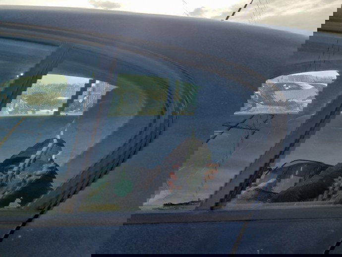 Geam fix usa stanga spate Bmw 1 (E81, E87) [Fabr 2004-2010] OEM