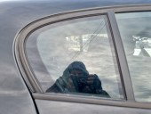 Geam fix usa dreapta spate Bmw 1 (E81, E87) [Fabr 2004-2010] OEM