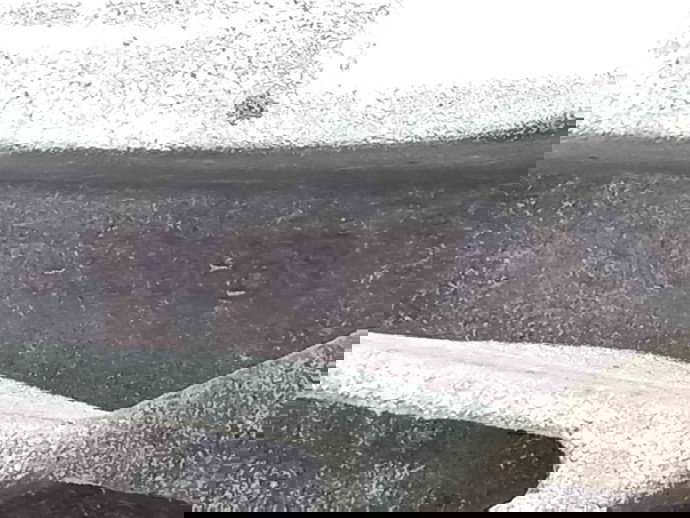 Suport motor 8K0199308BR Audi A5 2.0 CAHA 2007-2015