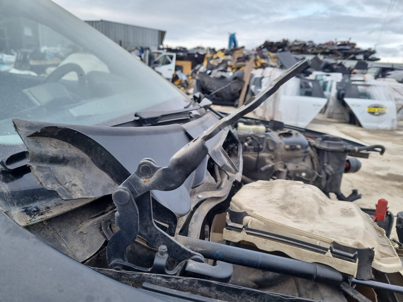 Set balamale capota Bmw 1 (E81, E87) [Fabr 2004-2010] OEM - imagine 3