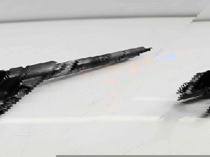 Injector  Fiat Punto (199) [Fabr 2010-2018] 0445110351 1.3 199B4000 62KW / 85CP