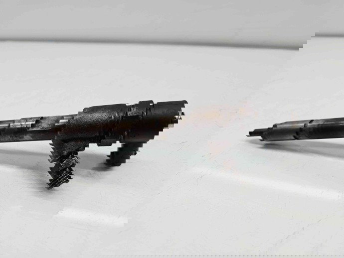 Injector  Fiat Punto (199) [Fabr 2010-2018] 0445110351 1.3 199B4000 62KW / 85CP