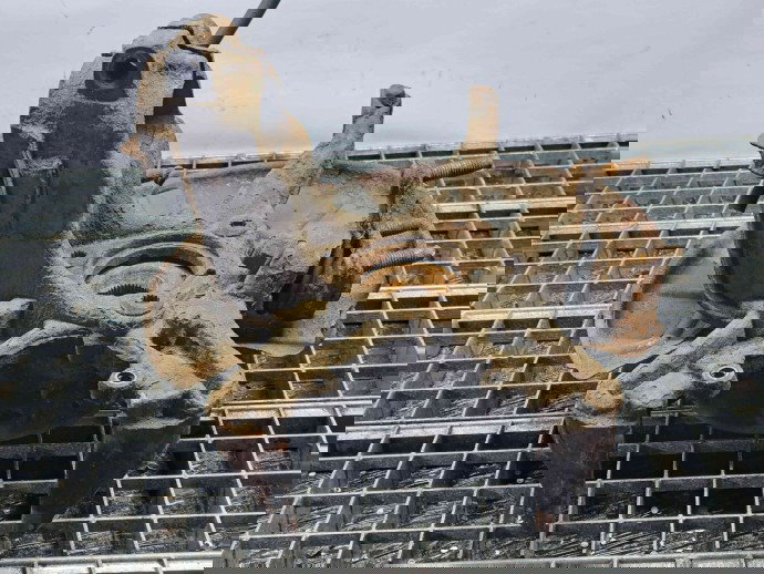 Fuzeta fata dreapta Audi A3 Sportback (8PA) [Fabr 2004-2013] OEM 1.9 TDI BXE 1.9 TDI BXE 77KW / 105CP