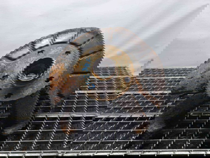 Fuzeta fata dreapta Audi A3 Sportback (8PA) [Fabr 2004-2013] OEM 1.9 TDI BXE 1.9 TDI BXE 77KW / 105CP