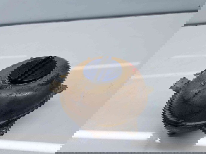 Vas expansiune Volkswagen Transporter 5 (7HB, 7HJ) [Fabr 2004-2013] 7H0121407C