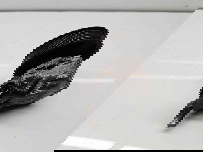 Pompa servodirectie  Renault Master III [Fabr 2009-2015] 491100915R 2.3 dCi M9T-870 96KW / 130CP