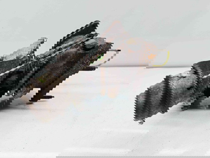 Turbina  Renault Master III [Fabr 2009-2015] H8200822404 2.3 dCi M9T-870 96KW / 130CP