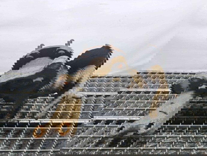 Fuzeta fata stanga Toyota Rav 4 III (ACA3, ACE, ALA3, GSA3, ZSA3) [Fabr 2005-2013] OEM 2.2  