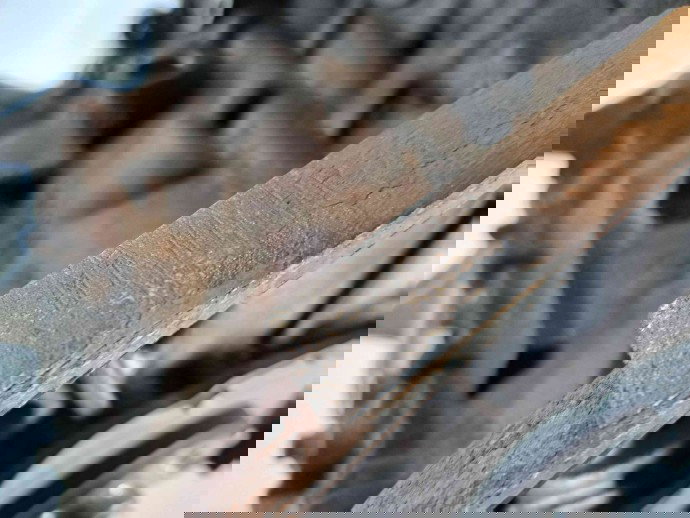 Motor complet ambielat  Ford Fiesta 6 [Fabr 2008-prezent] M1JH 1.0 Benz M1DA 92KW / 125CP