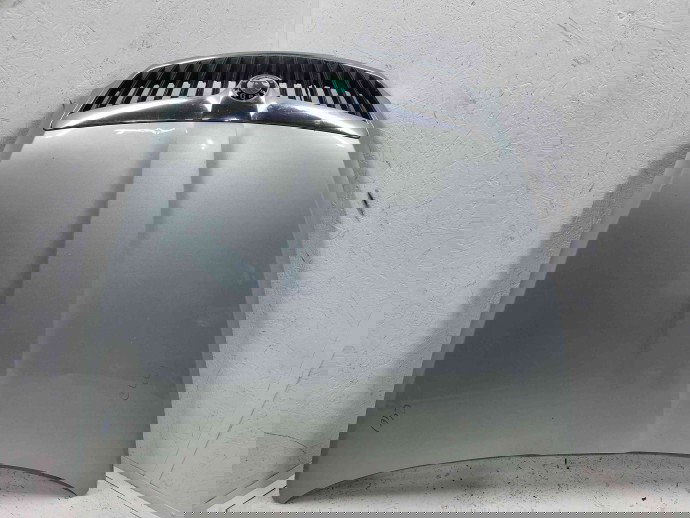 Capota motor Skoda Octavia 2 Combi (1Z5) [Fabr 2004-2013] Facelift LF7W