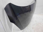 Capota motor Ford Fiesta 8 [Fabr 2017-2025] MAGNETIC