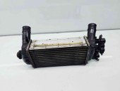 Radiator intercooler Ford Ecosport II [Fabr 2017-2024] H1BG-6K775-AC 1.0 Benz M1DA 92KW / 125CP