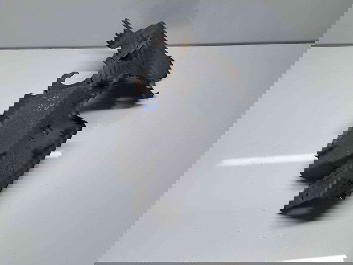 Deflector aer Nissan Navara (D40) [Fabr 2005-2014] F97227A07