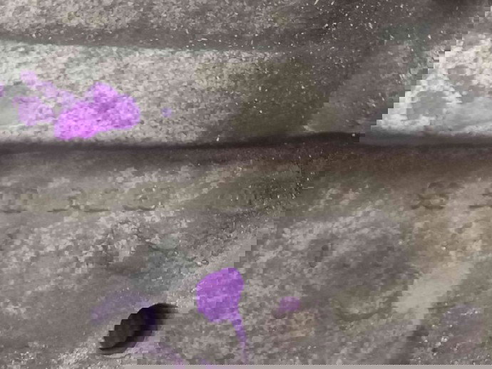 Suport accesorii 9650034280 Ford Focus 2 (DA) [Fabr 2004-2012] 1.6 GBDB