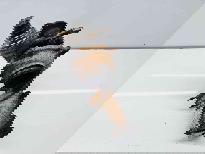 Turbina Volkswagen Transporter 5 (7HB, 7HJ) [Fabr 2004-2013] 03L253016 2.0 TDI CAAA 62KW  / 85CP