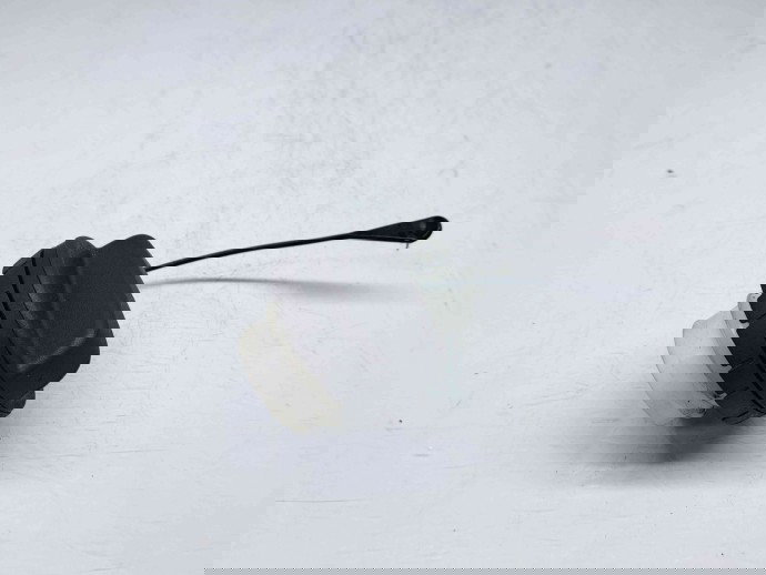 Buson rezervor Toyota Rav 4 III (ACA3, ACE, ALA3, GSA3, ZSA3) [Fabr 2005-2013] OEM