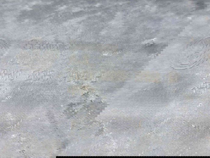 Deflector aer Volkswagen Transporter 5 (7HB, 7HJ) [Fabr 2004-2013] 7H0805962B