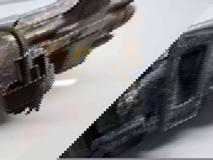 Compresor clima Ford C-Max 1 [Fabr 2007-2010] 3M51H-19D629-HC 2.0 TDCI G6DA 100KW / 136CP