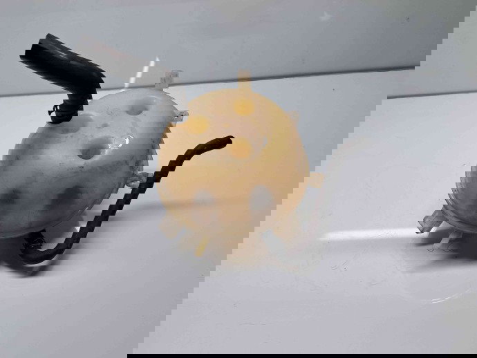 Vas expansiune Volkswagen Transporter 5 (7HB, 7HJ) [Fabr 2004-2013] 7H0121407C