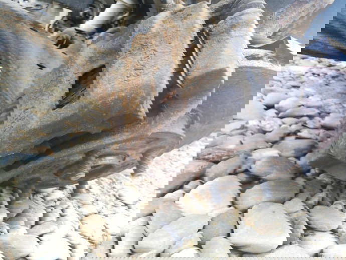 Etrier dreapta Hyundai Accent 1.5 diesel OEM 2005-2008