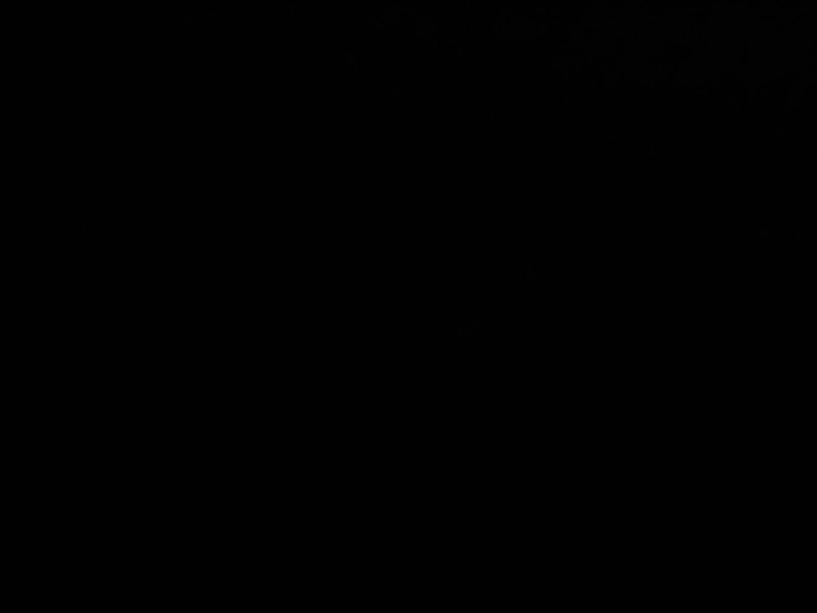 Usa stanga spate Nissan Navara (D40) [Fabr 2005-2014] GN0 - imagine 3