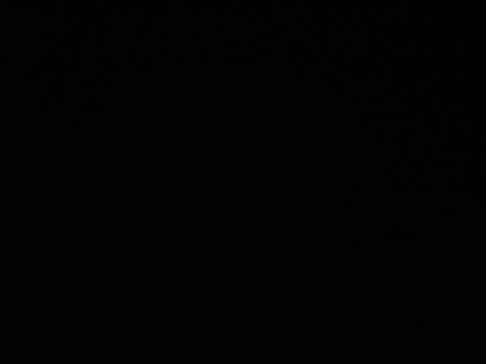 Usa dreapta spate Nissan Navara (D40) [Fabr 2005-2014] GN0 - imagine 3