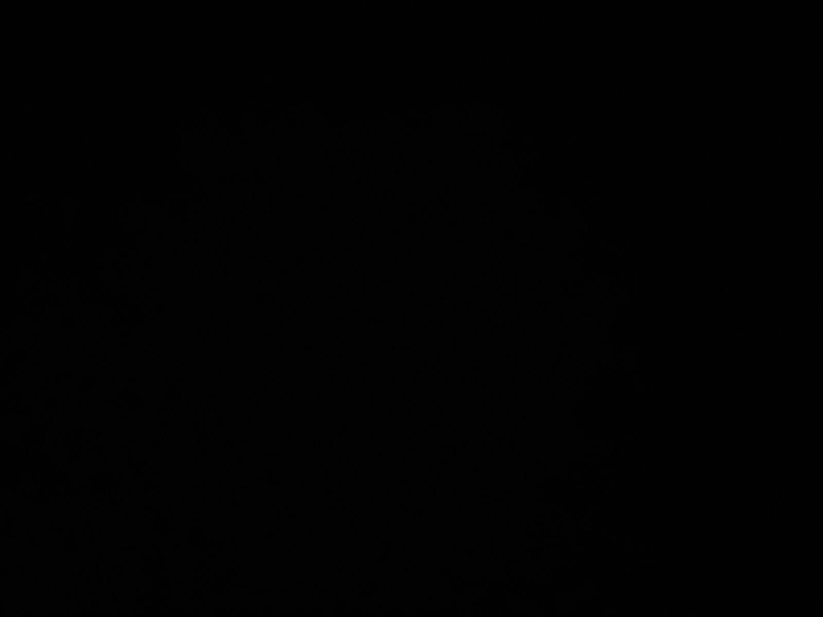 Usa stanga fata Volkswagen Passat B8 Variant (3G5) [Fabr 2015-prezent] LC9A - imagine 3