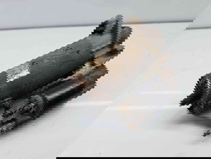  Electromotor 9 dinti Bmw 3 (E46) [Fabr 1998-2005] 1712937 2.0 M47D110KW / 150CP