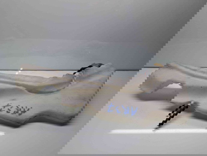  Vas lichid parbriz Nissan Navara (D40) [Fabr 2005-2014] 28910EB500