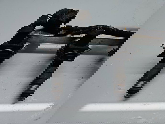 Rampa injectoare Opel Corsa D [Fabr 2006-2013] OEM 1.2 Benz Z12XEP 59KW / 80CP