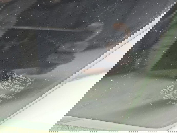 Geam usa stanga spate Opel Corsa E [Fabr 2014-prezent] OEM