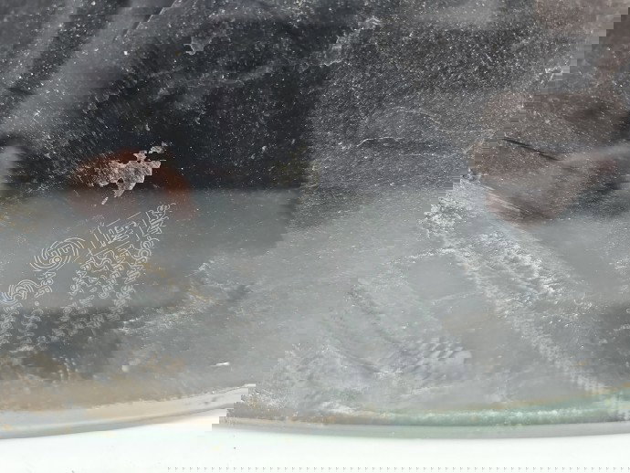 Geam fix usa stanga spate Opel Corsa E [Fabr 2014-prezent] OEM