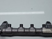 Rampa injectoare AUDI A5 (8T3) [Fabr 2007-2015] 03L130089Q 2.0 TDI CGLC 130KW / 177CP