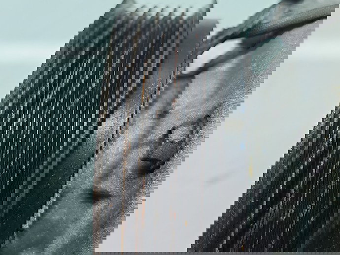 Compresor clima AUDI A6 (4G2, C7) [Fabr 2012-2017] 4G0260805M 2.0 TDI CNHA 140KW / 190CP