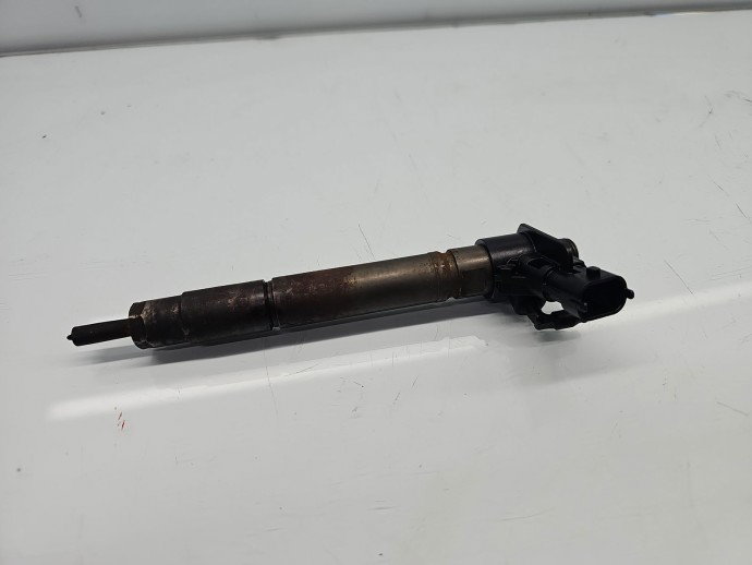 Injector  Citroen C5 (III) [Fabr 2008-2017] 9659228880 2.2 HDi 4HN 115KW / 156CP
