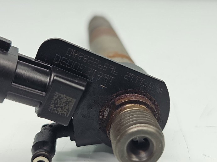 Injector  Citroen C5 (III) [Fabr 2008-2017] 9659228880 2.2 HDi 4HN 115KW / 156CP