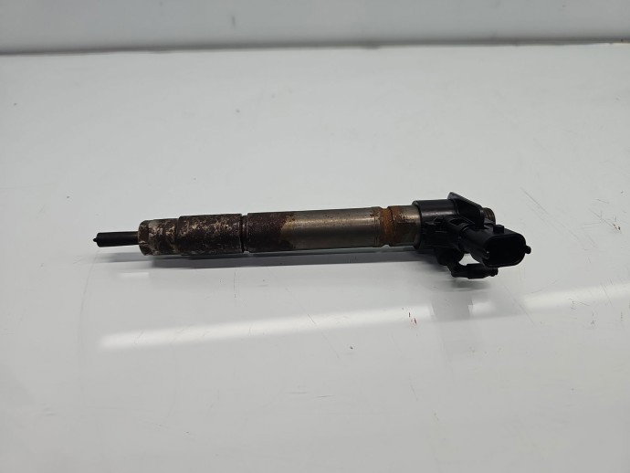 Injector  Citroen C5 (III) [Fabr 2008-2017] 9659228880 2.2 HDi 4HN 115KW / 156CP