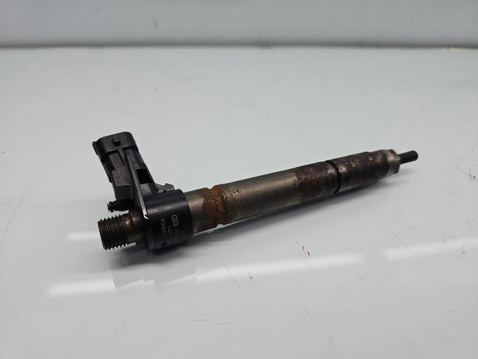 Injector  Citroen C5 (III) [Fabr 2008-2017] 9659228880 2.2 HDi 4HN 115KW / 156CP