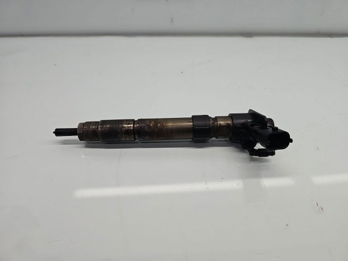 Injector Citroen C5 (III) [Fabr 2008-2017] 59228880 2.2 HDi 4HN 115KW / 156CP