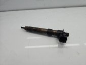 Injector Citroen C5 (III) [Fabr 2008-2017] 59228880 2.2 HDi 4HN 115KW / 156CP