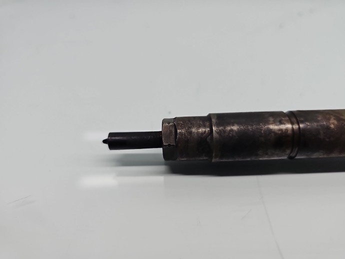Injector Citroen C5 (III) [Fabr 2008-2017] 59228880 2.2 HDi 4HN 115KW / 156CP