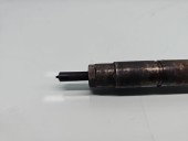 Injector Citroen C5 (III) [Fabr 2008-2017] 59228880 2.2 HDi 4HN 115KW / 156CP