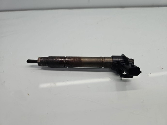 Injector  Citroen C5 (III) [Fabr 2008-2017] 9659228880 2.2 HDi 4HN 115KW / 156CP