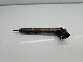 Injector  Citroen C5 (III) [Fabr 2008-2017] 9659228880 2.2 HDi 4HN 115KW / 156CP