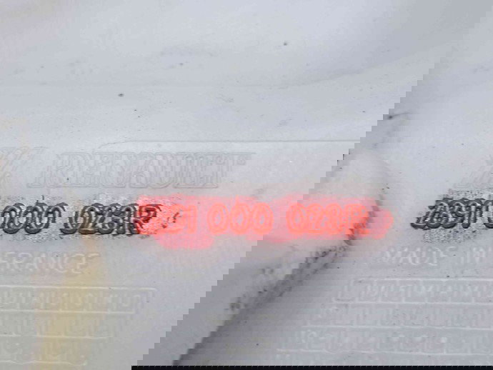  Vas lichid parbriz  Renault Master III [Fabr 2009-2015] 2891000023R
