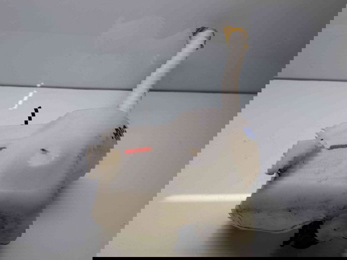  Vas lichid parbriz  Renault Master III [Fabr 2009-2015] 2891000023R