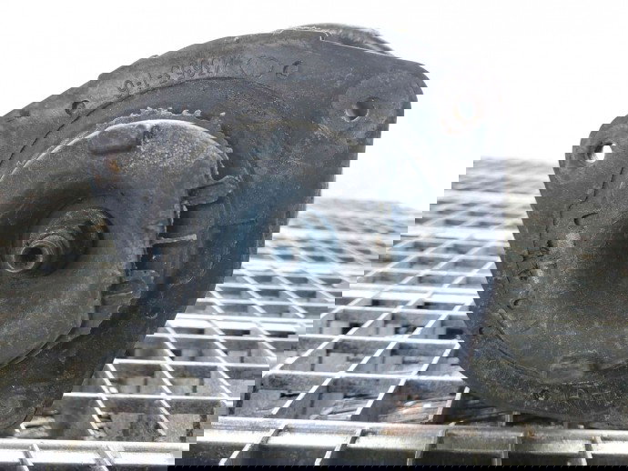 Amortizor dreapta fata Nissan Qashqai Facelift (2) [Fabr 2009-2013] 54302-BR00B 1.5 DCI K9K  